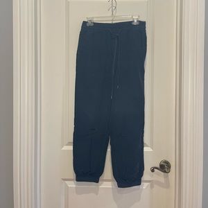 navy blue velvet jogger pants